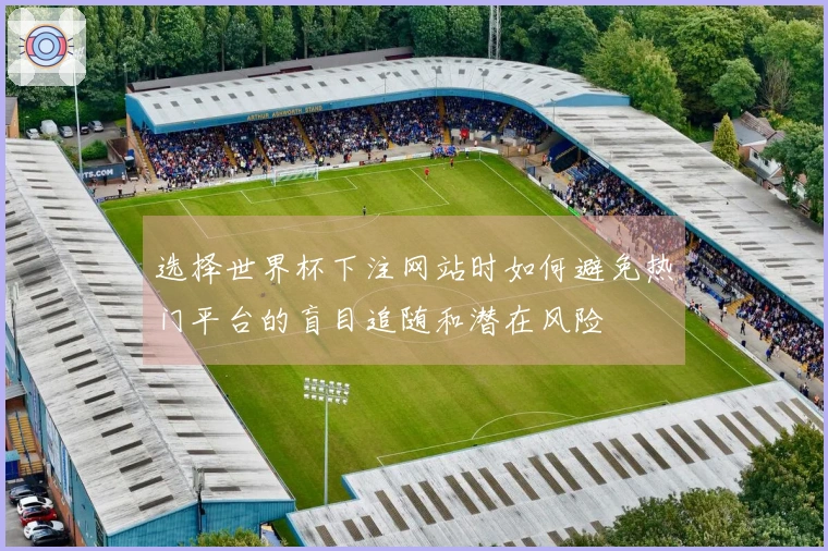 选择世界杯下注网站时如何避免热门平台的盲目追随和潜在风险