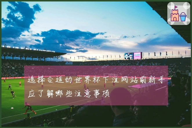 选择合适的世界杯下注网站前新手应了解哪些注意事项