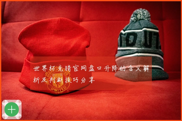 世界杯竞猜官网盘口升降的含义解析及判断技巧分享