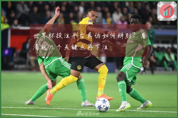 世界杯投注平台真伪如何辨别？看清这几个关键点再下注