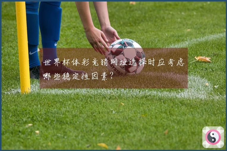 世界杯体彩竞猜网址选择时应考虑哪些稳定性因素？