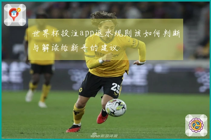世界杯投注app返水规则该如何判断与解读给新手的建议