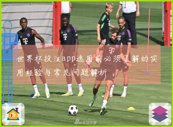 世界杯投注app选用前必须了解的实用经验与常见问题解析