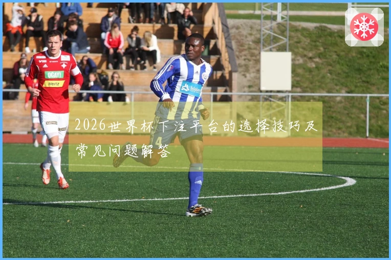 2026世界杯下注平台的选择技巧及常见问题解答