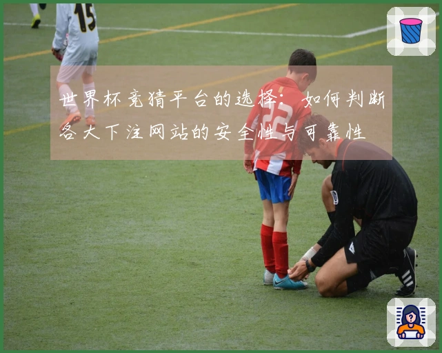 世界杯竞猜平台的选择：如何判断各大下注网站的安全性与可靠性