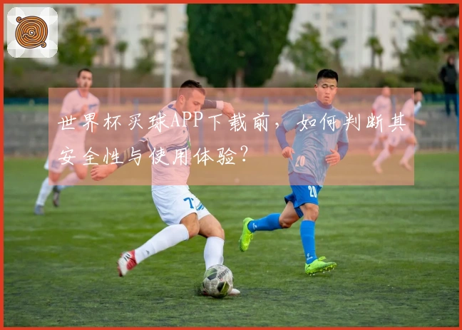世界杯买球APP下载前，如何判断其安全性与使用体验？