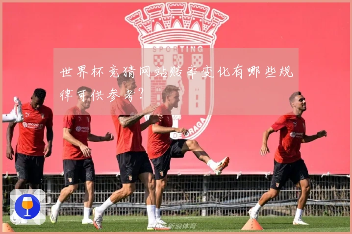 世界杯竞猜网站赔率变化有哪些规律可供参考？