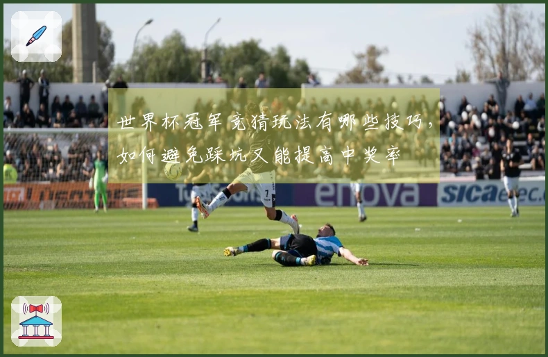 世界杯冠军竞猜玩法有哪些技巧，如何避免踩坑又能提高中奖率