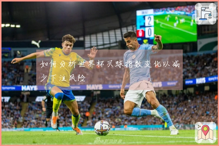 如何分析世界杯买球指数变化以减少下注风险
