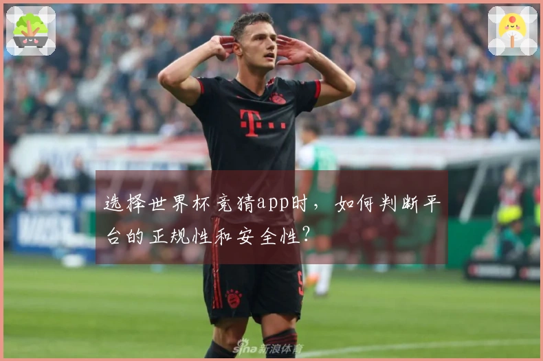 选择世界杯竞猜app时,如何判断平台的正规性和安全性?