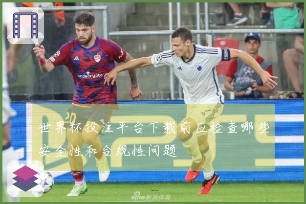 世界杯投注平台下载前应检查哪些安全性和合规性问题