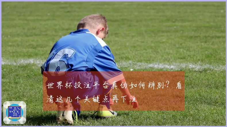 世界杯投注平台真伪如何辨别？看清这几个关键点再下注